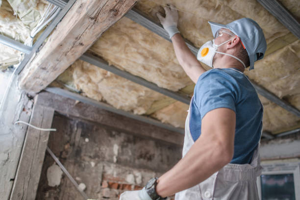 Best Crawl Space Insulation  in Denton, MD