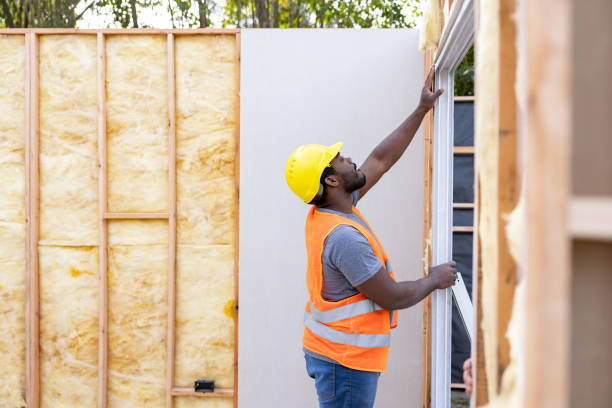 Best Best Insulation Companies  in Denton, MD