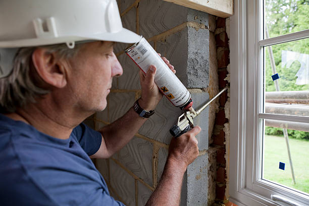 Best Spray Foam Insulation  in Denton, MD